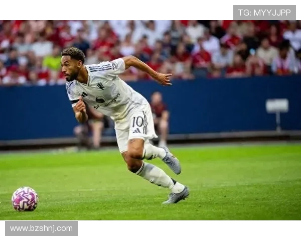 马雷斯卡炮轰世俱杯：安全暂停合理，但场地条件难称合格(2)